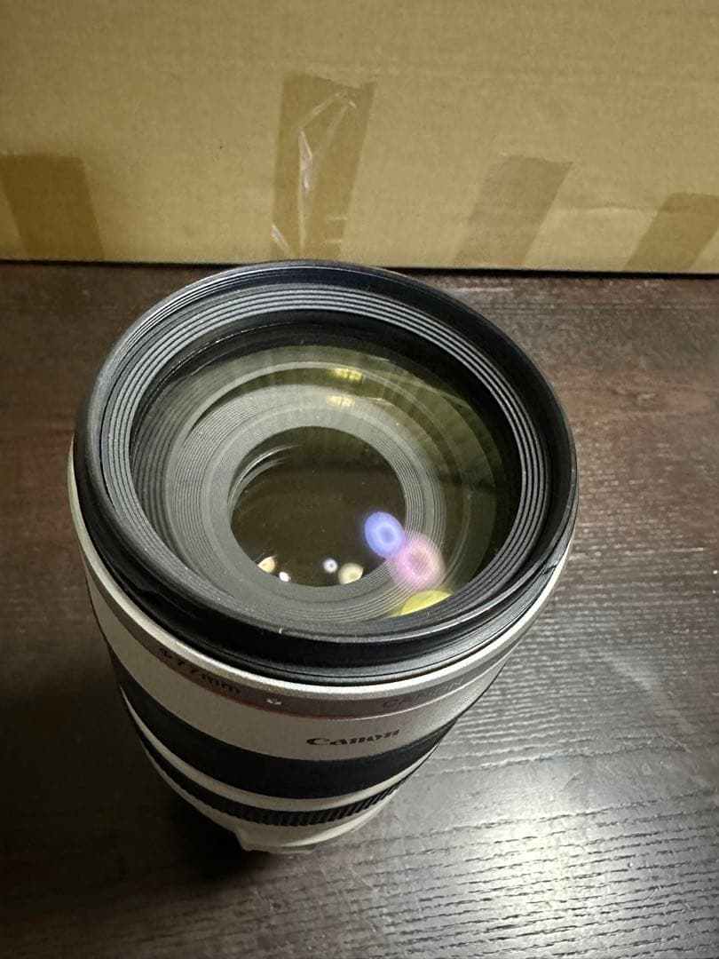 キヤノンCanon EF 100-400mm F4.5-5.6 L IS USM