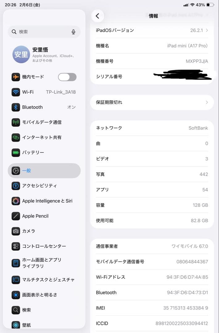 iPad mini A17pro 128G セルラーモデル