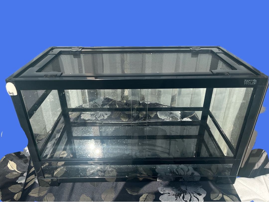 三晃商会 レプティワイルド パンテオン ブラック　6035 引取り限定