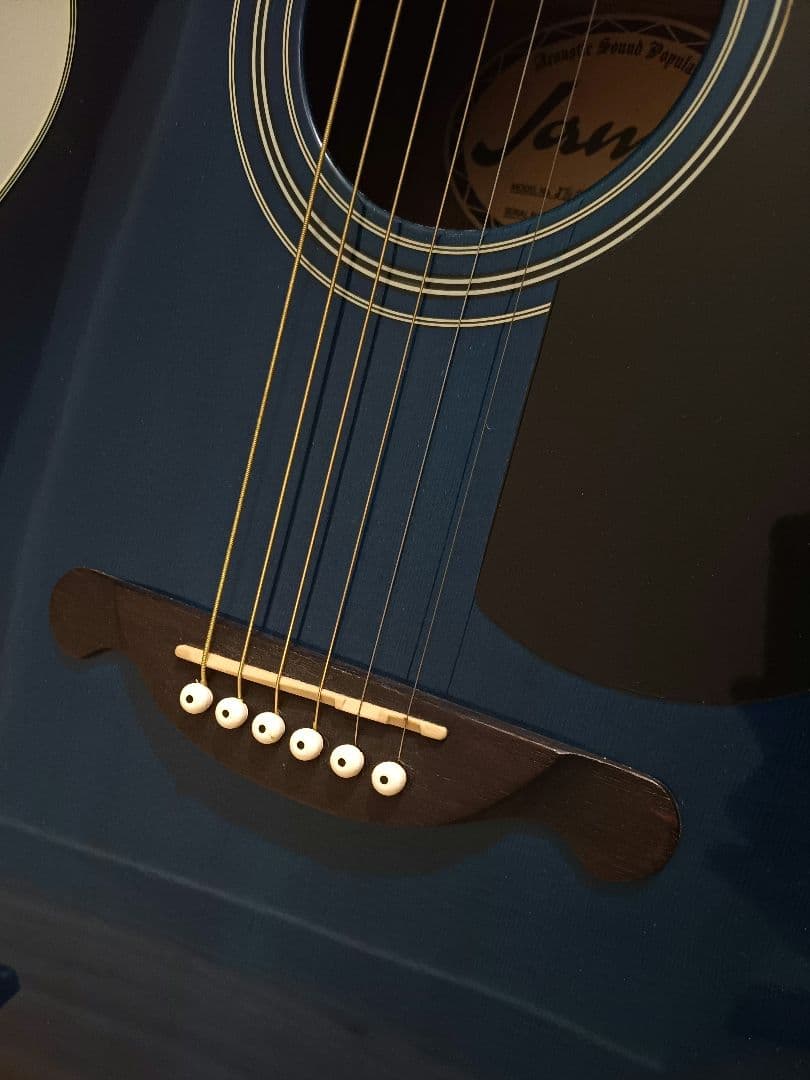 James☆アコースティックギタ☆ブルー ギター