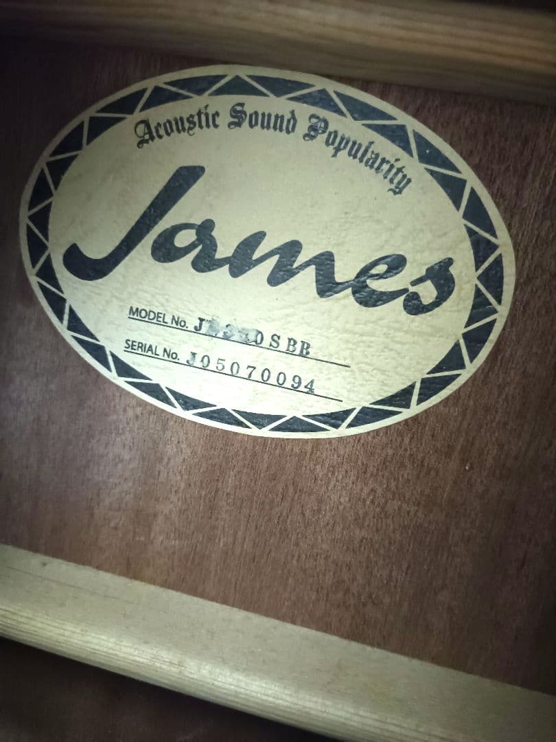James☆アコースティックギタ☆ブルー ギター