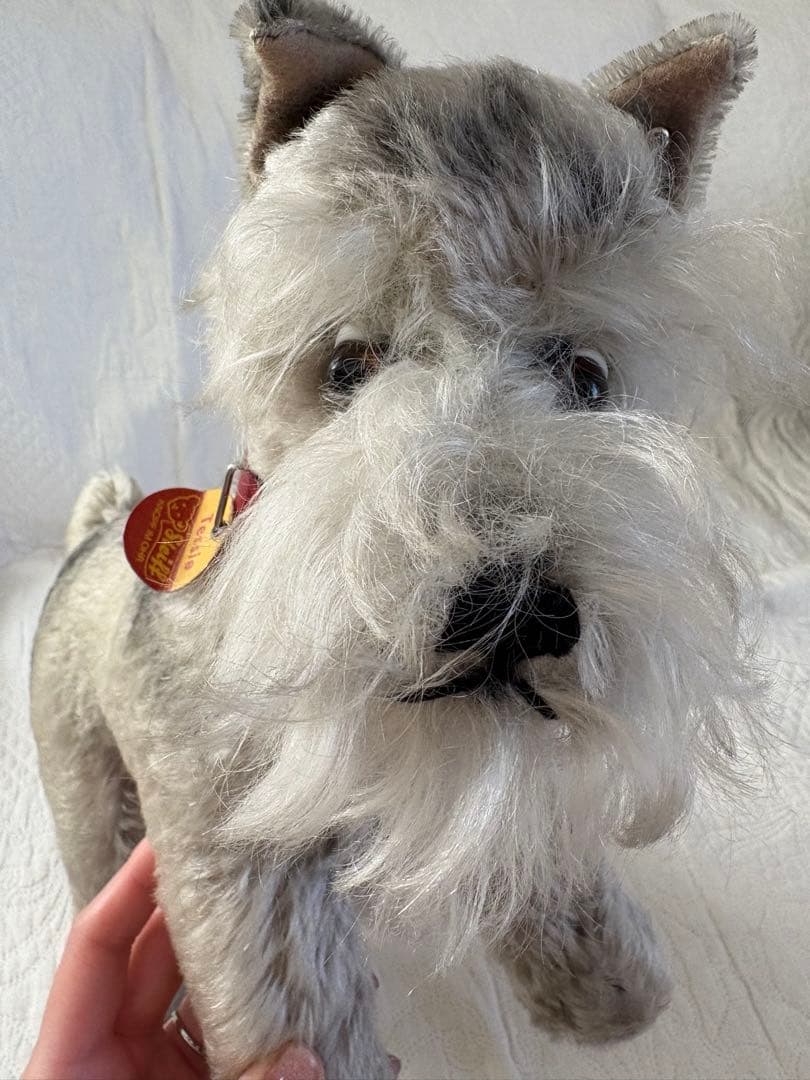 Steiff シュタイフ Tessie テッシー シュナウザー ビンテージ 犬