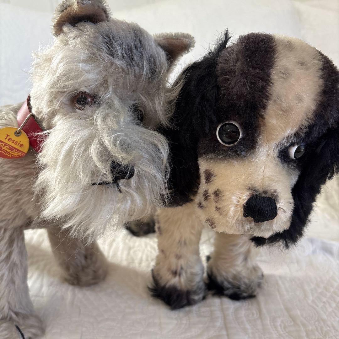 Steiff シュタイフ Tessie テッシー シュナウザー ビンテージ 犬