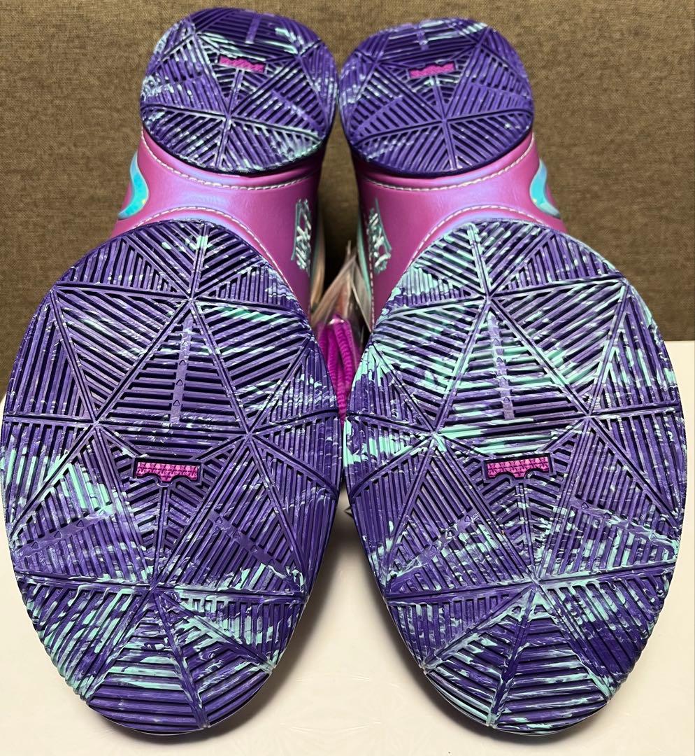 NIKE LEBRON 22EP ナイキ レブロン 30cm 替え紐 箱付き