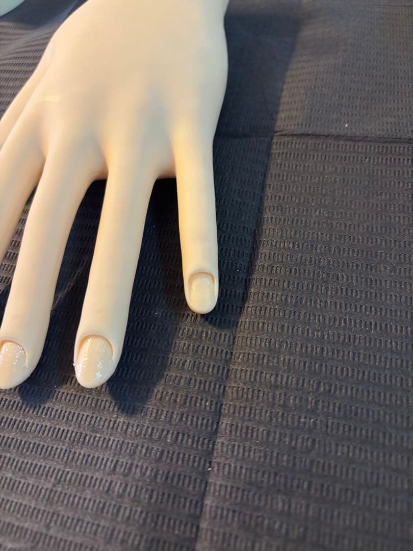 【骨折なし・箱無し】JNEC認定モデルハンド