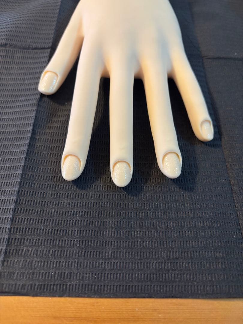 【骨折なし・箱無し】JNEC認定モデルハンド