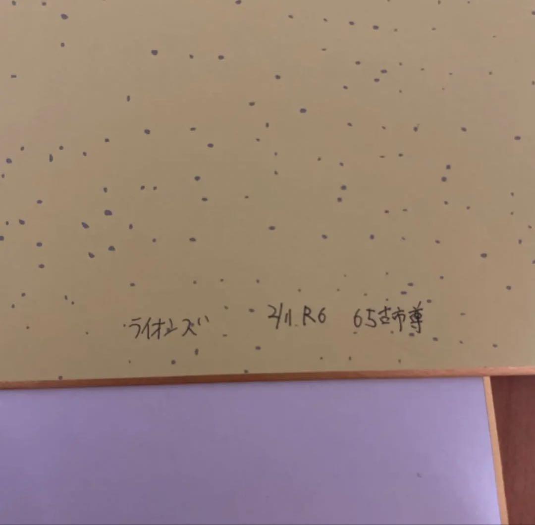 西武ライオンズ サイン色紙13枚セット