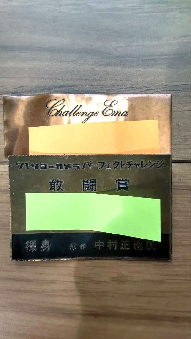 ブロンズ裸婦像 裸身（杉本エマ）　原作 中村正也