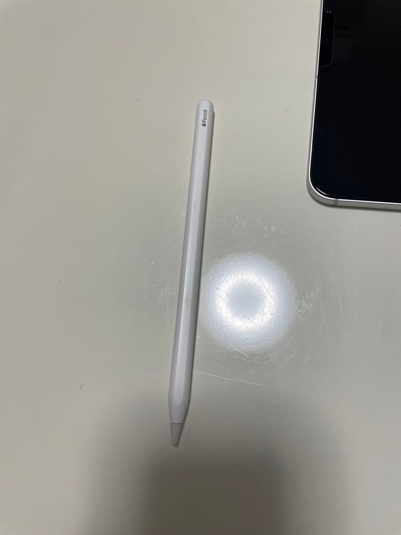 【美品】iPadPro11インチ 第1世代256GB ApplePencil付