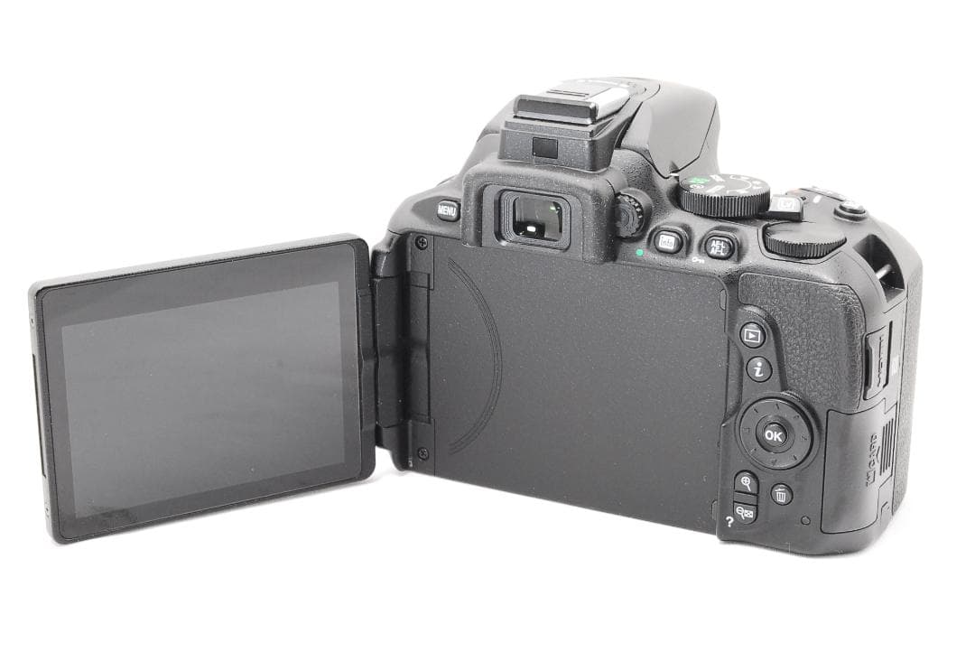 シャッター数2873回 Nikon D5600 ダブルレンズセット