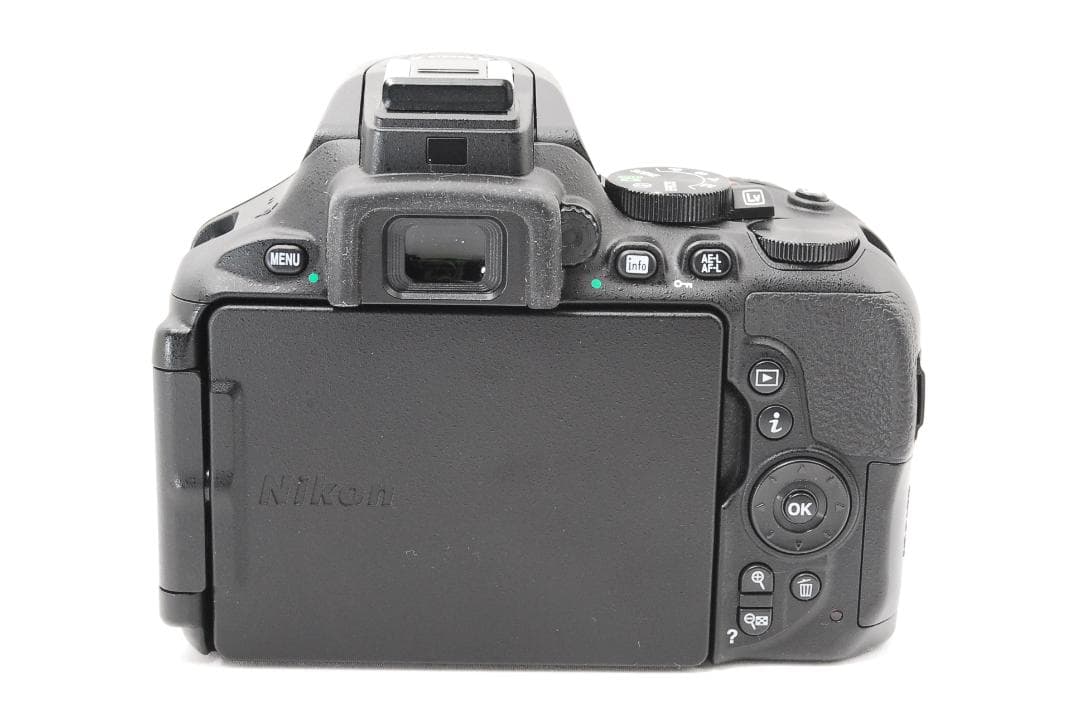 シャッター数2873回 Nikon D5600 ダブルレンズセット