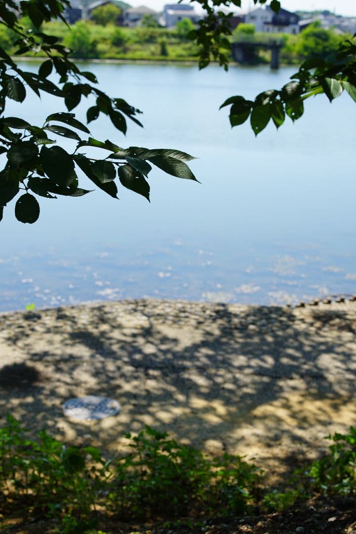 【美品】SONY　a6000　16-50 キットレンズ　セット