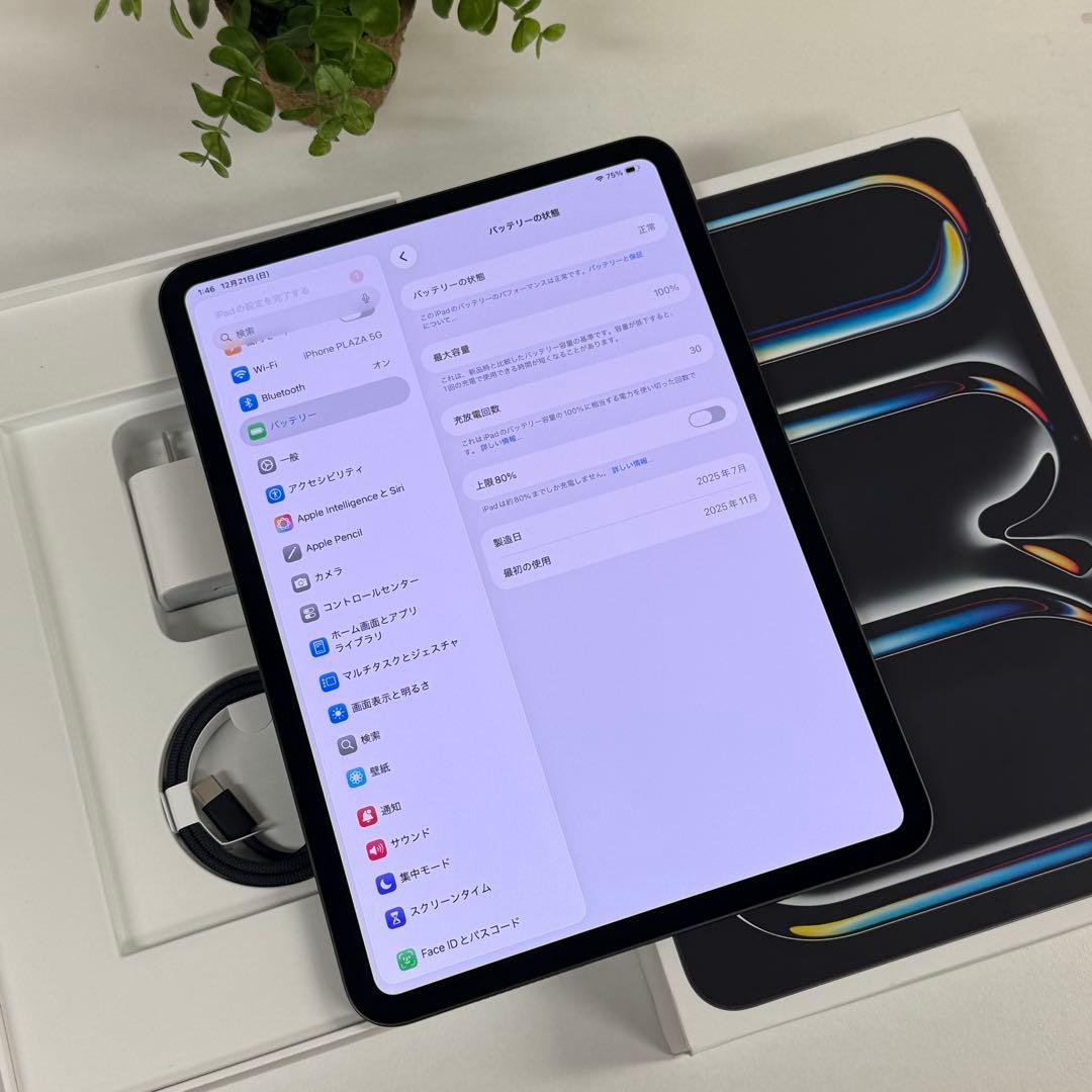 新品同様 iPad Pro M5 11インチ 256GB 2025年モデル