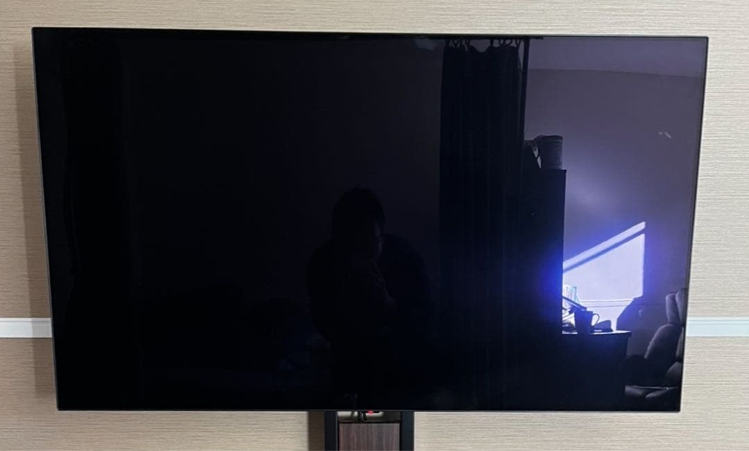(あーのるどしゅわるつぇねーがー 専用)LG 48型 4Kテレビ 本体のみ
