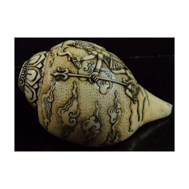 ◆チベット密教法具　法螺貝（シャンカ）カーリー