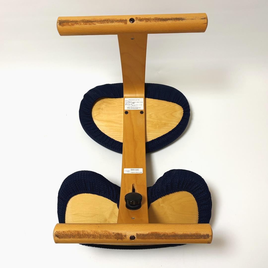 【美品】バランスイージー ネイビー 純正カバー付