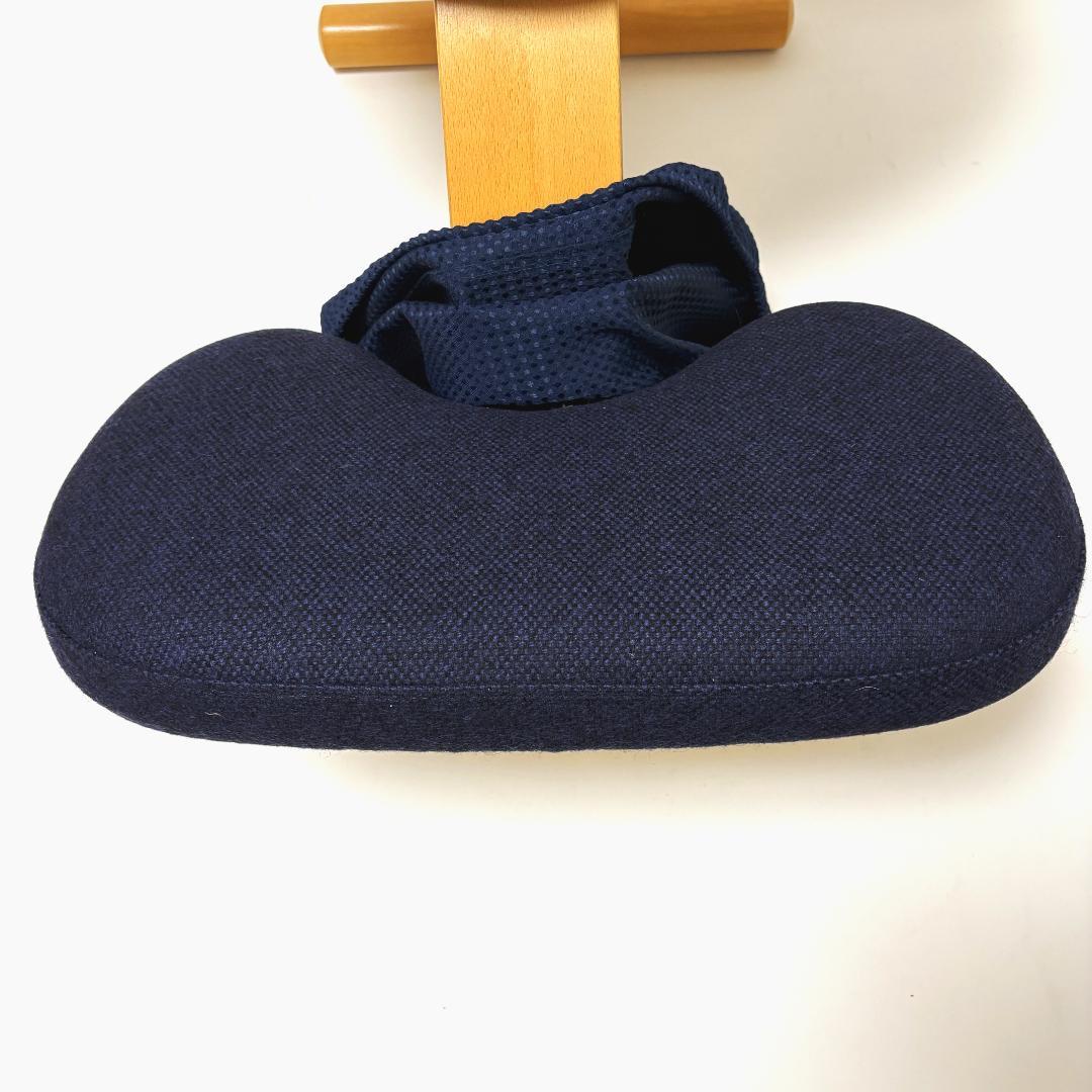 【美品】バランスイージー ネイビー 純正カバー付