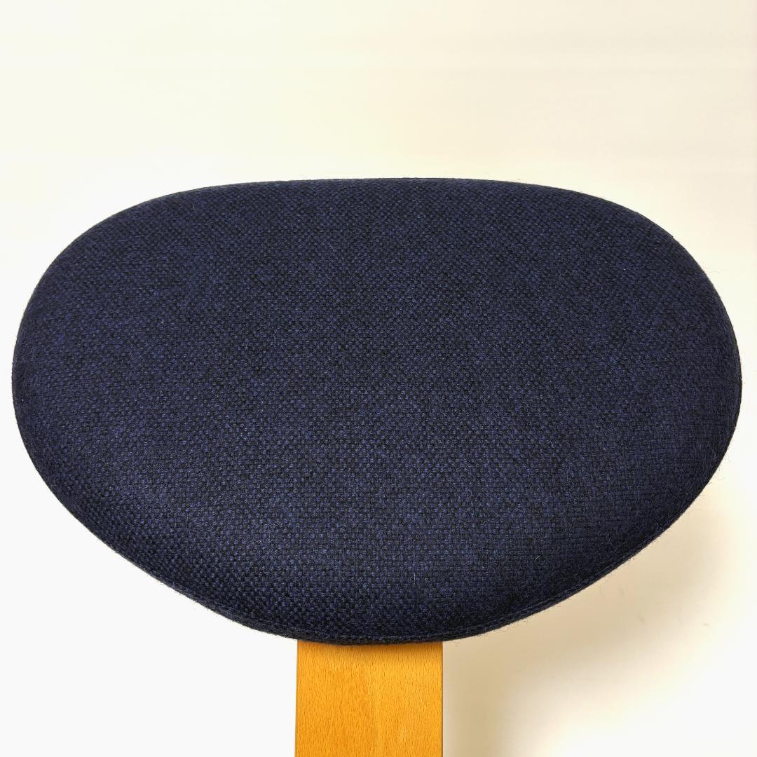 【美品】バランスイージー ネイビー 純正カバー付