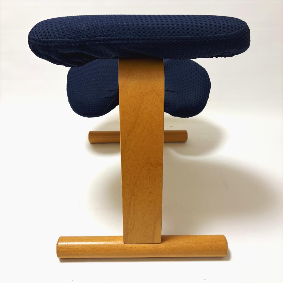 【美品】バランスイージー ネイビー 純正カバー付