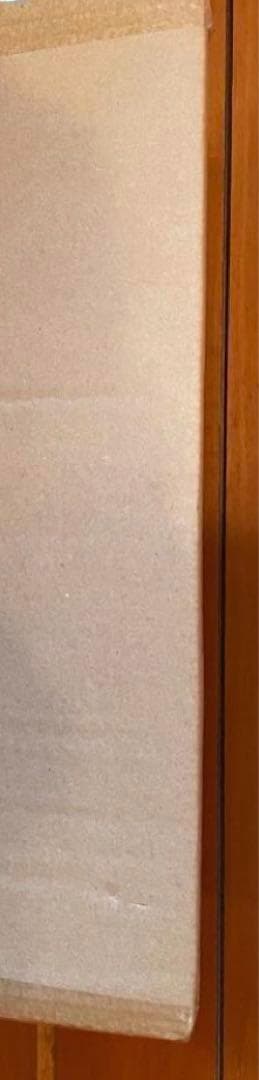 ノミセット　ケース付き