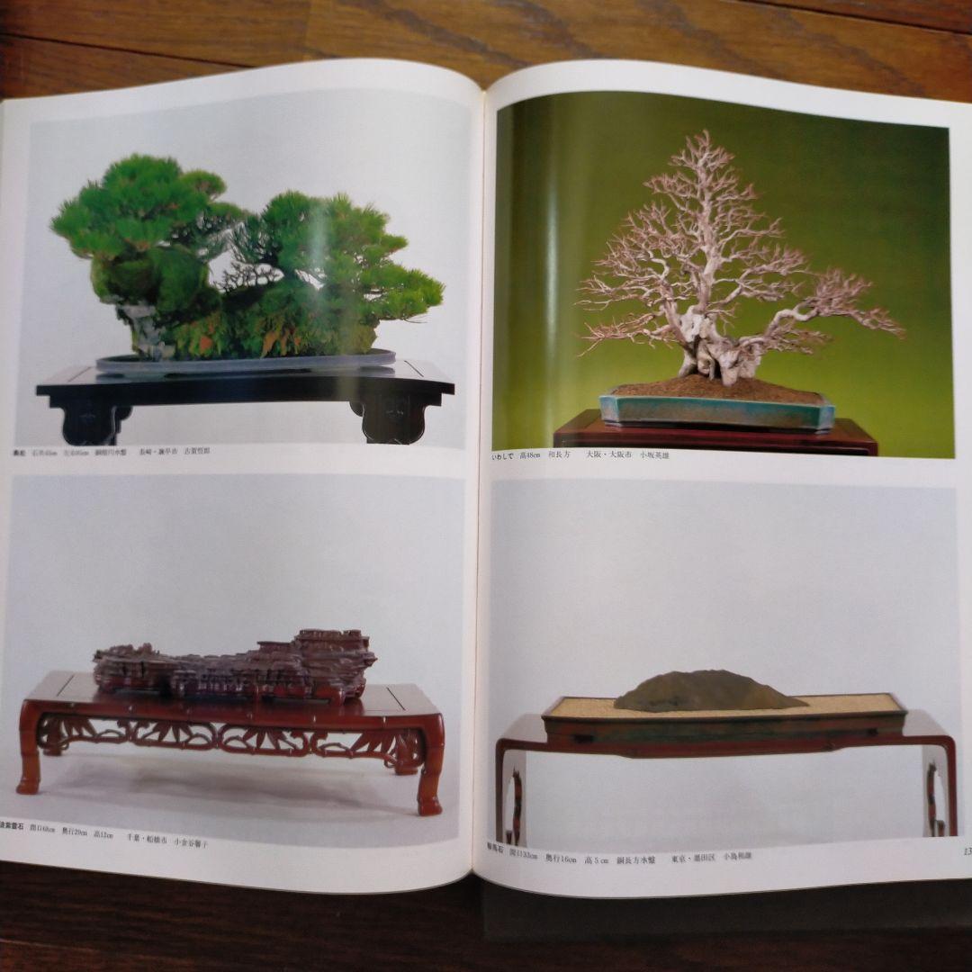 日本盆栽大観展