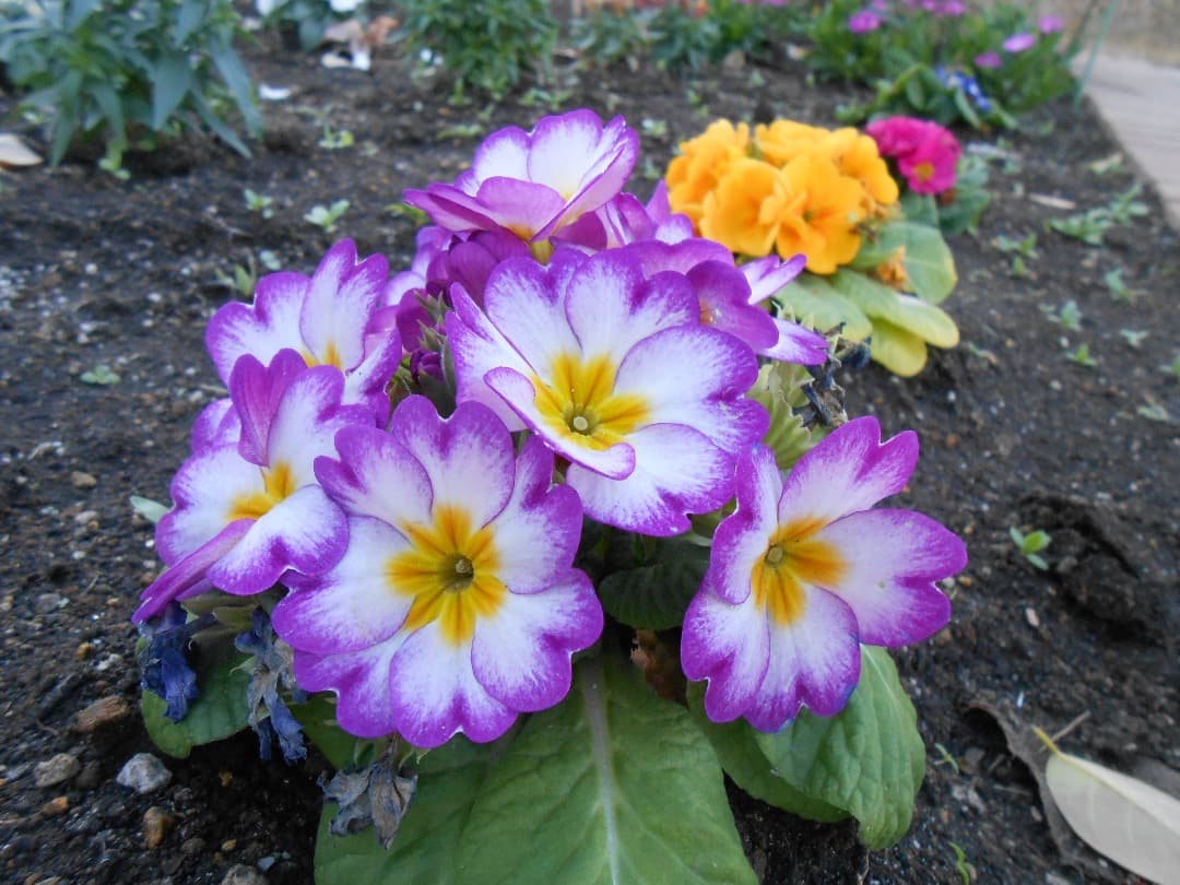 実写美⭕️美品【動作確認済み】Nikon COOLPIX S3300 グリーン