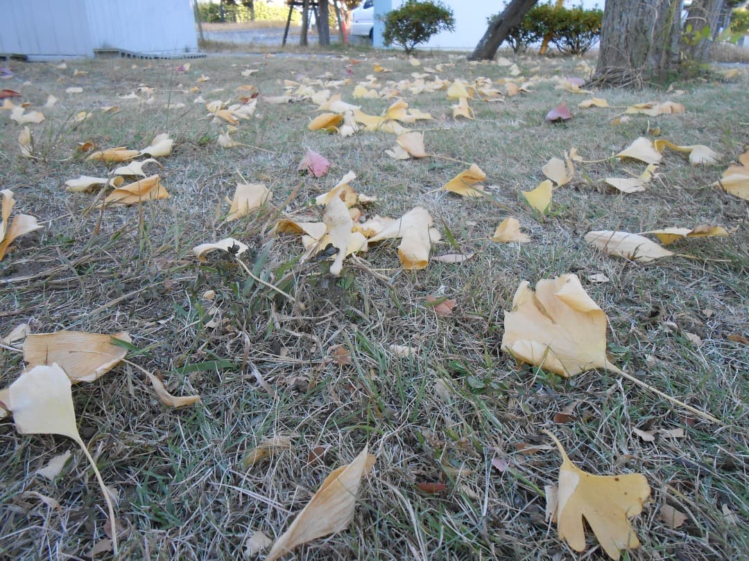 実写美⭕️美品【動作確認済み】Nikon COOLPIX S3300 グリーン