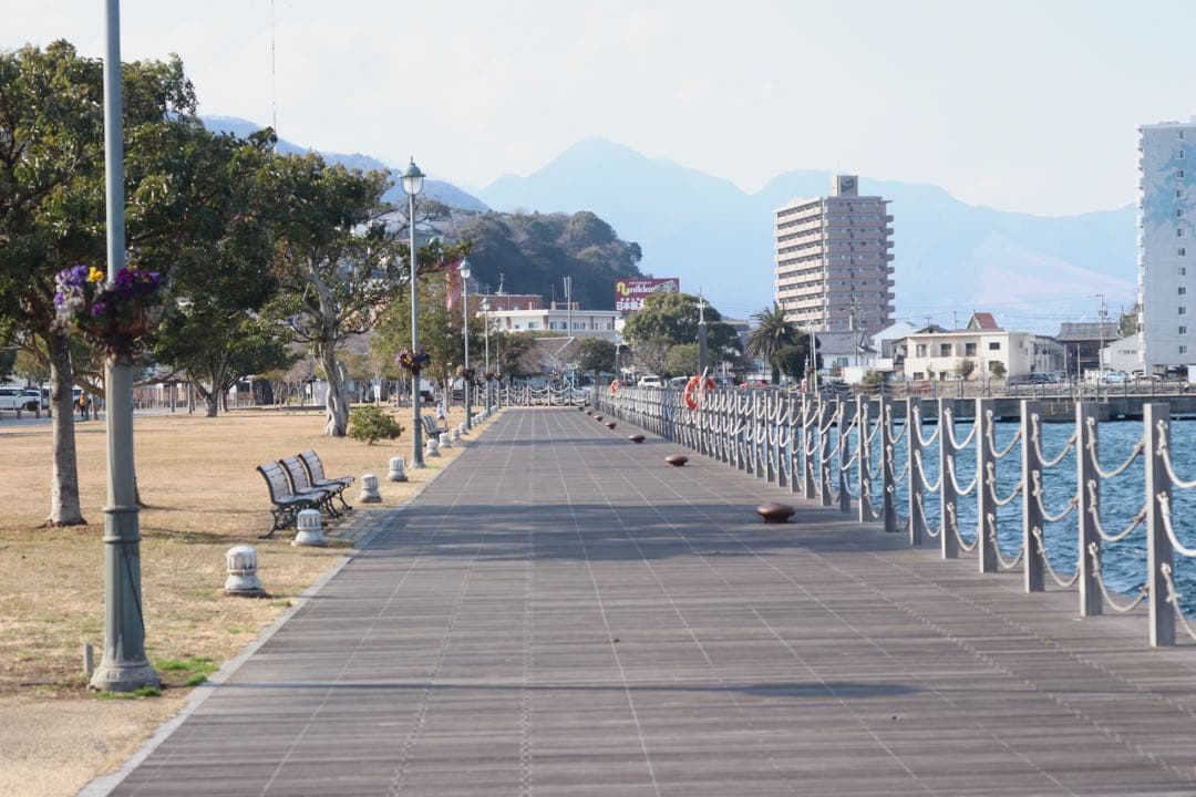 ★OLYMPUS OM-1 + ★ MACRO 50mm