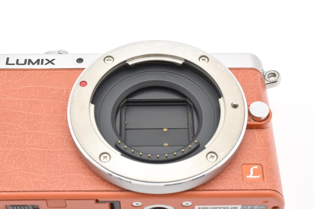 美品 Panasonic DMC-GM1 ショット数525回 1244