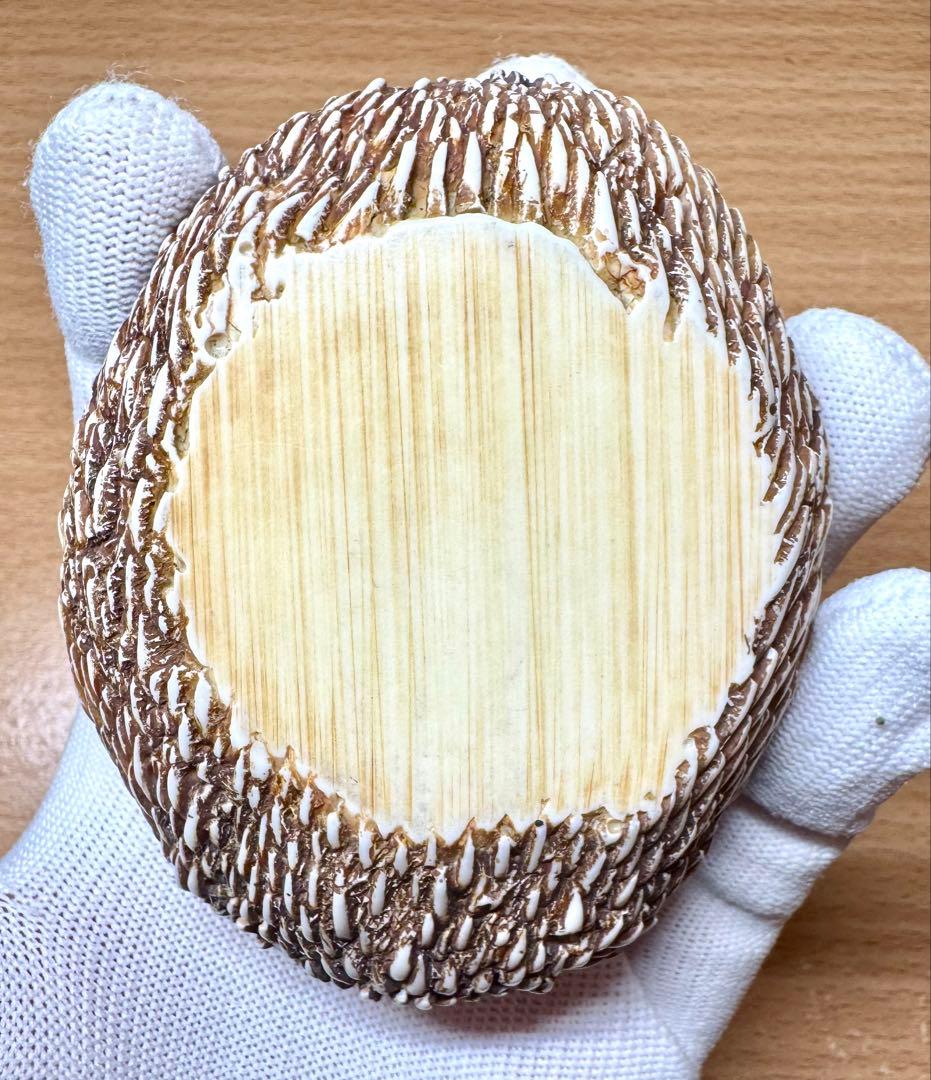 ハーモニー キングダム サニーサイドアップ Harmony Kingdom