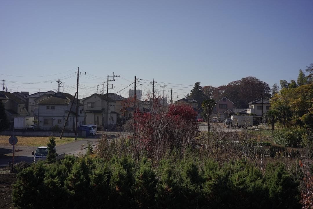 Nikkor H C 5ｃm F/2 黒帯ライカＬ３９レンズ整備済３