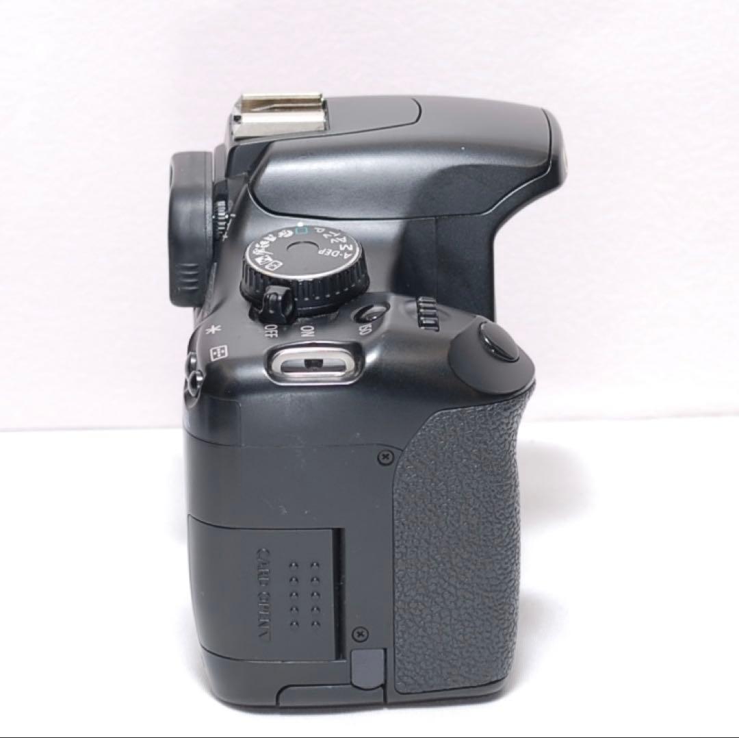 ✨超望遠レンズデビュー✨Canon Kiss X2✨ ダブルレンズ✨少シャッター