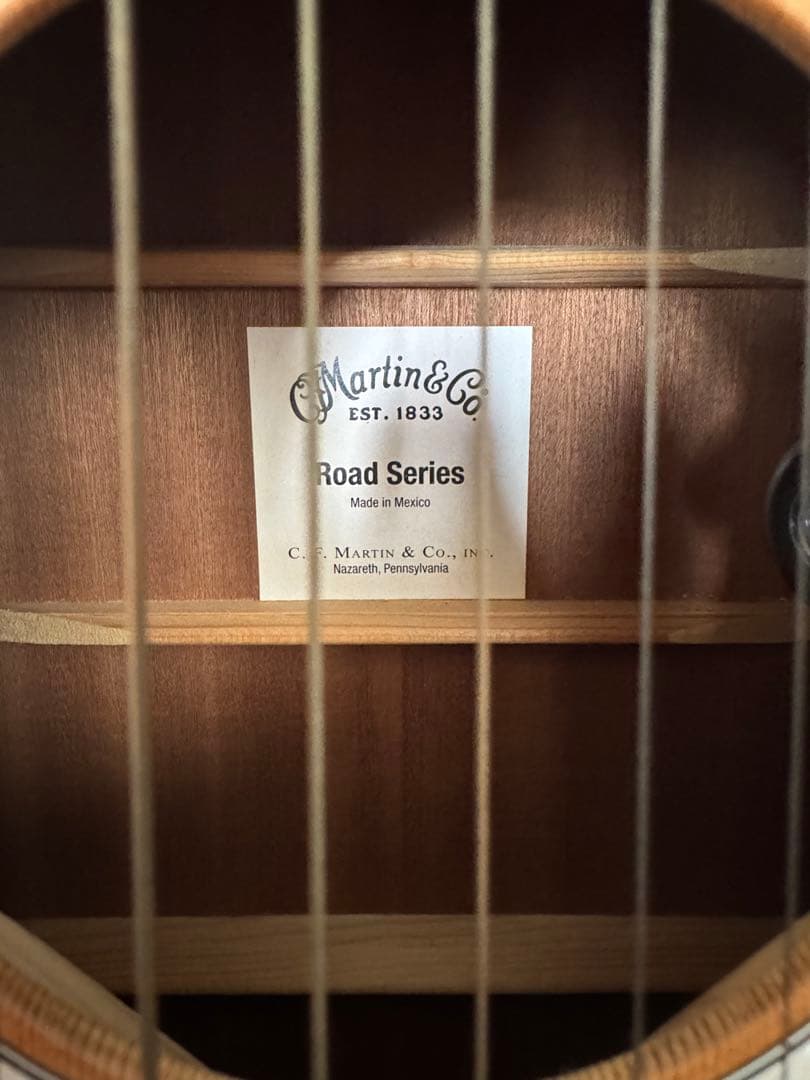 Martin&Co.Road Series/D-10E-02 アコギ 備品付き