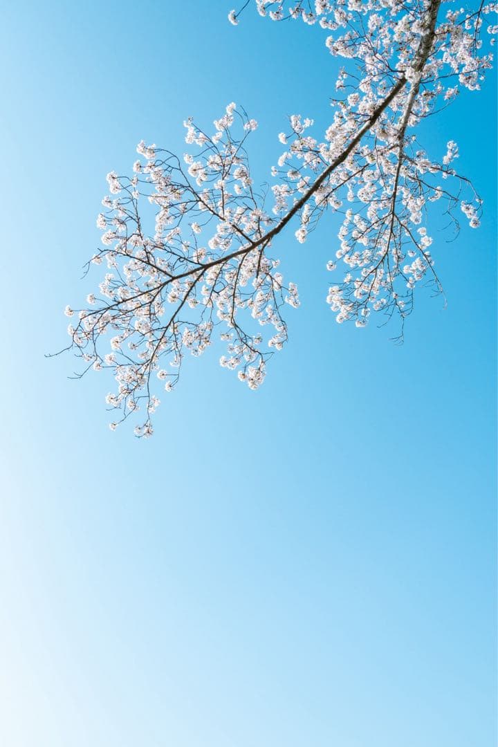K*様 FUJIFILM X-Pro3 レンズ2本セット