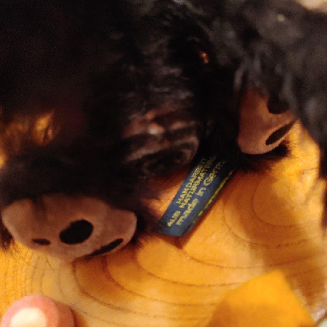 海外作家さんのテディベア