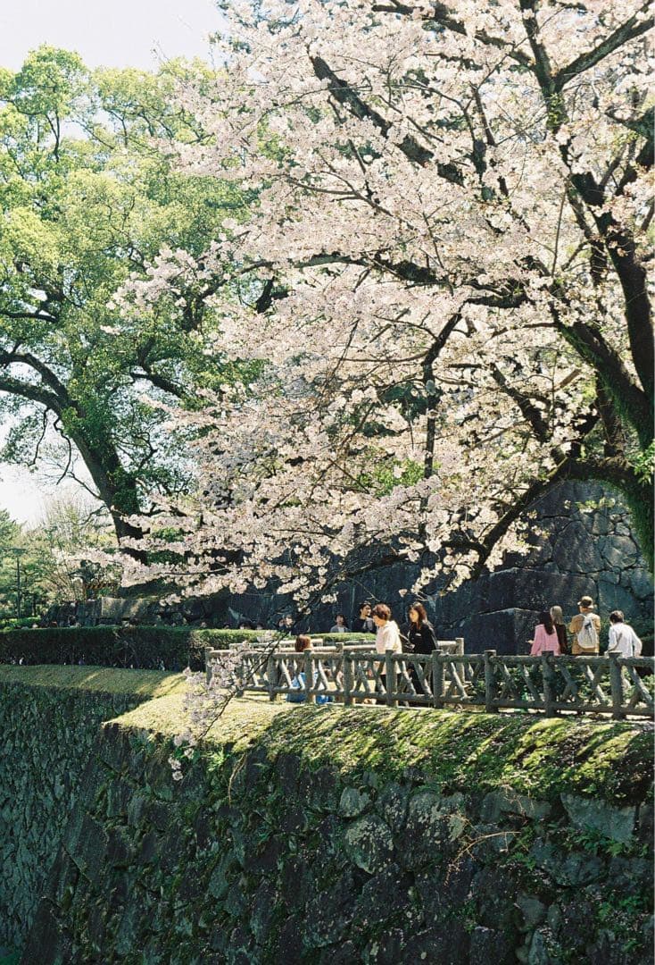 OLYMPUS PEN F フィルムカメラ