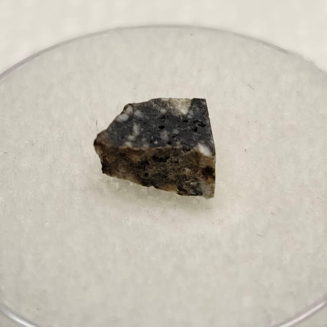 月隕石 NWA5000 192mg アダムホープ氏サインカード付き NO.217