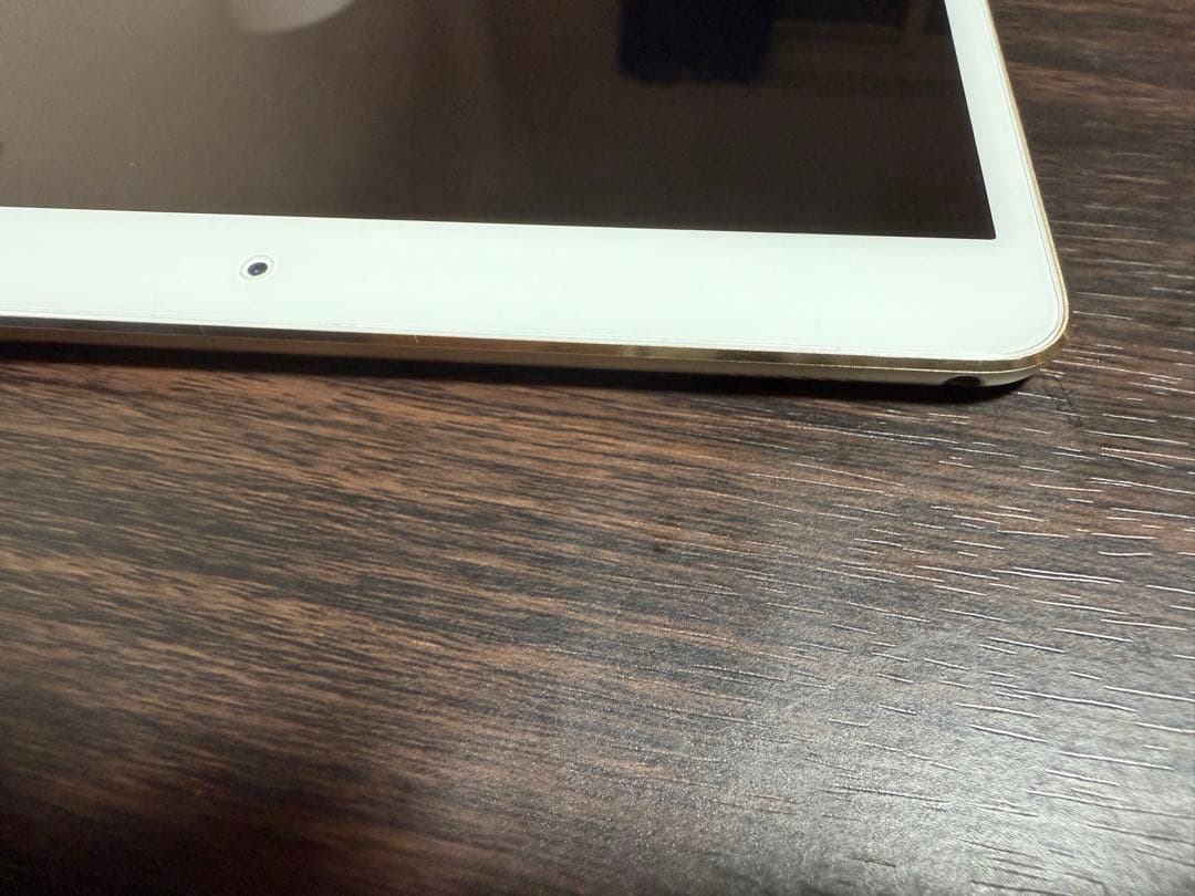 iPad Pro 10.5 Wi-Fi ゴールド256GB 【動作良好美品】