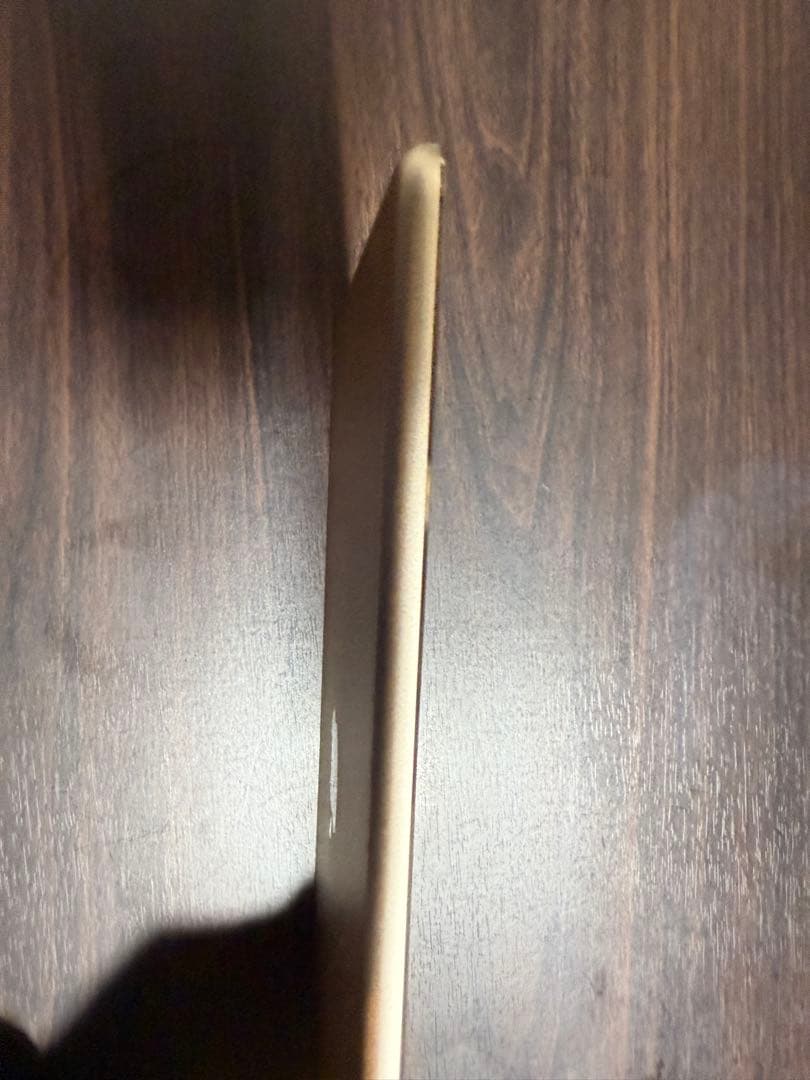 iPad Pro 10.5 Wi-Fi ゴールド256GB 【動作良好美品】