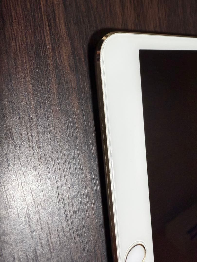 iPad Pro 10.5 Wi-Fi ゴールド256GB 【動作良好美品】