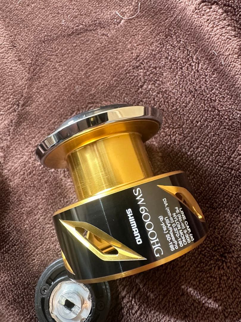 20ステラSW 6000HG シマノ　送料込