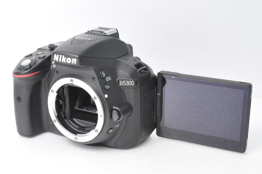 シャッター数新品級❣️美品 Nikon D5300⭐️Wi-Fi ダブルレンズ