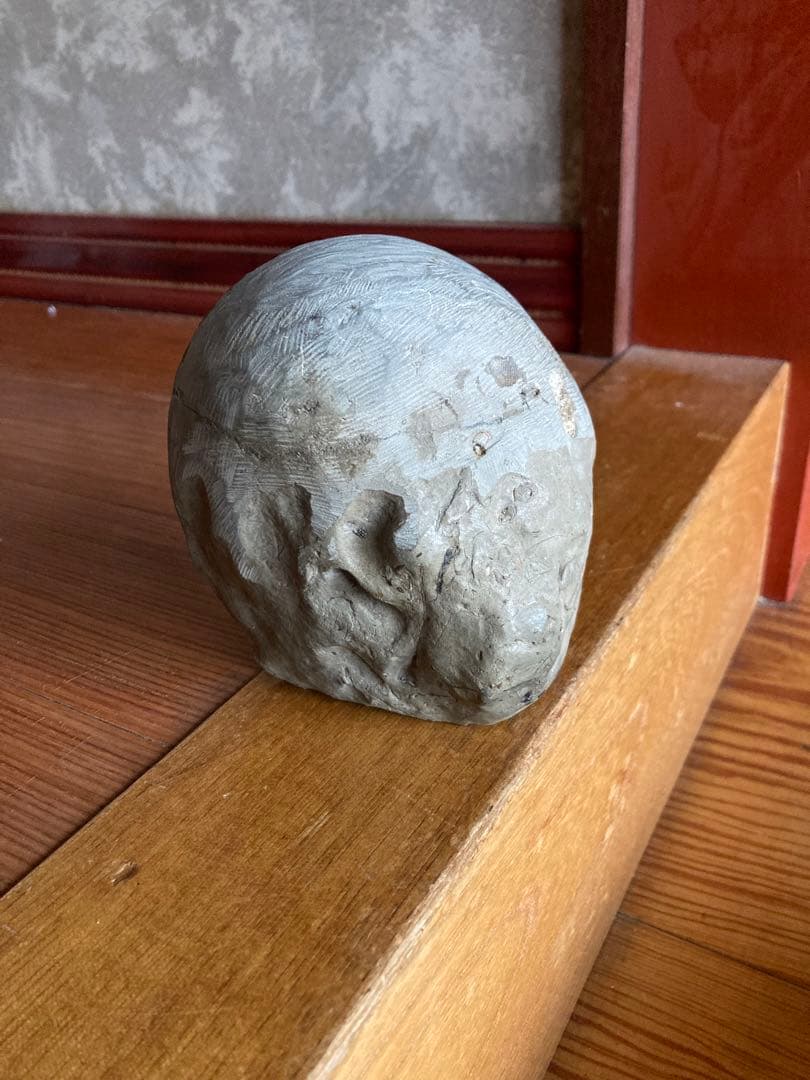 北海道　美品　結晶化したアンモナイト・ハウエリセラス　化石　最薄のアンモナイト