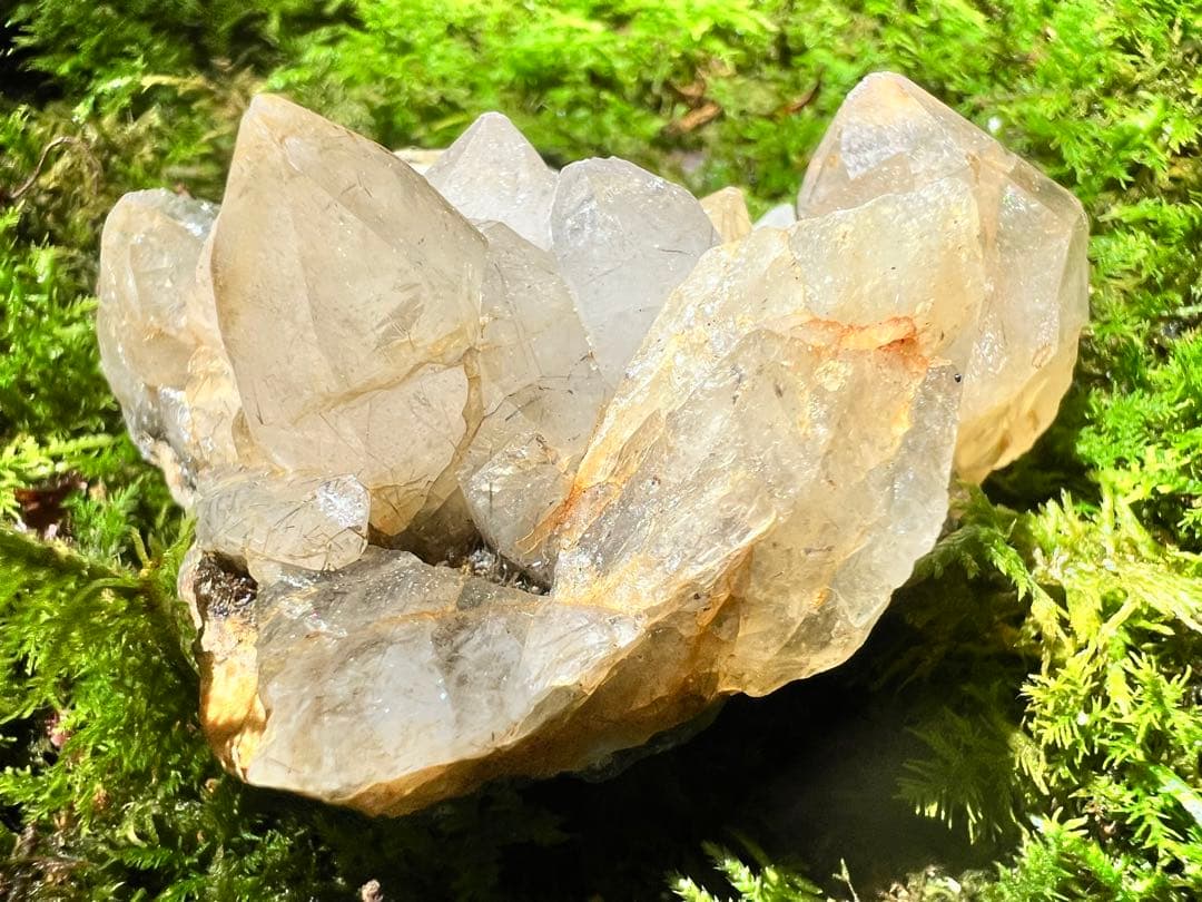 龍脈の精髄 国産ブラックルチル水晶クラスター売上一部保護猫活動に