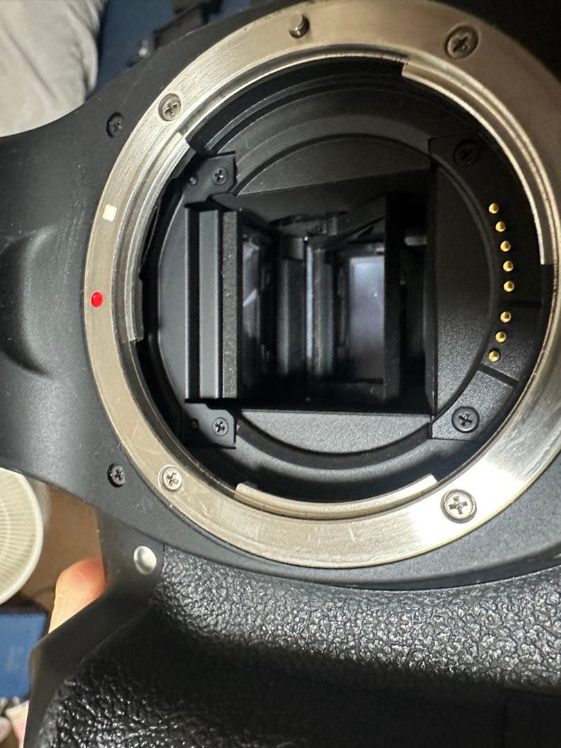 Canon EOS 80Dレンズ4本 sigma 17-50mm f2.8