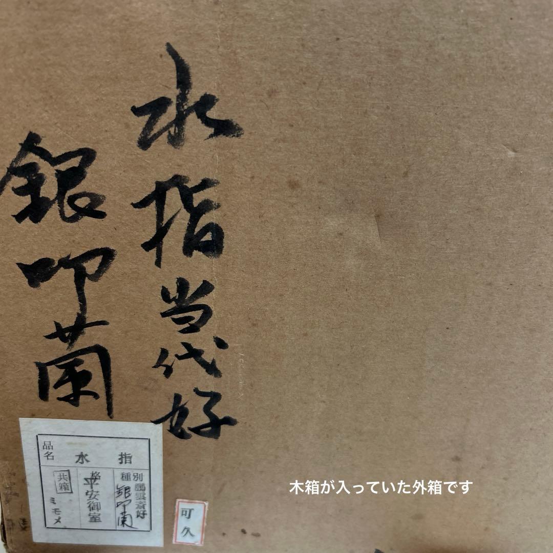 水指　『鵬雲斎好　銀叩蘭』『御室窯』　共箱　 茶道具
