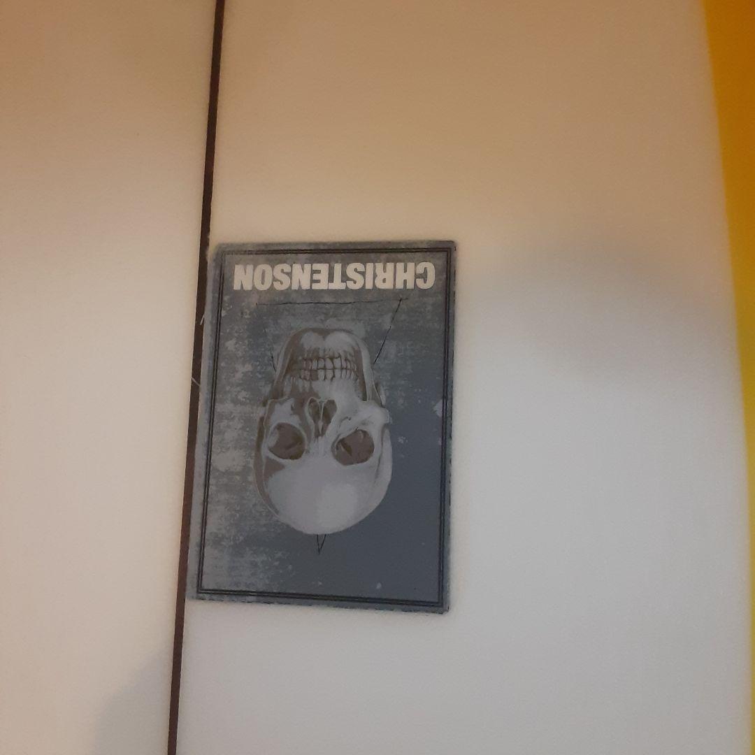 クリステンソン christenson surfer rosa