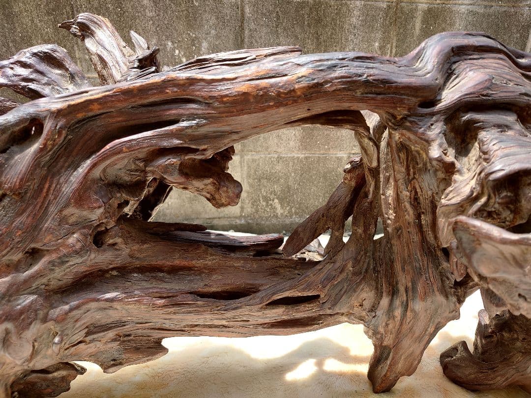 天然木根瘤 自然造形花器 置物 鑑賞木 瘤木 木のオブジェ 根木台 飾台 木目