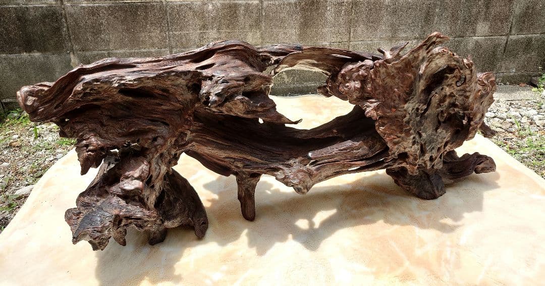 天然木根瘤 自然造形花器 置物 鑑賞木 瘤木 木のオブジェ 根木台 飾台 木目