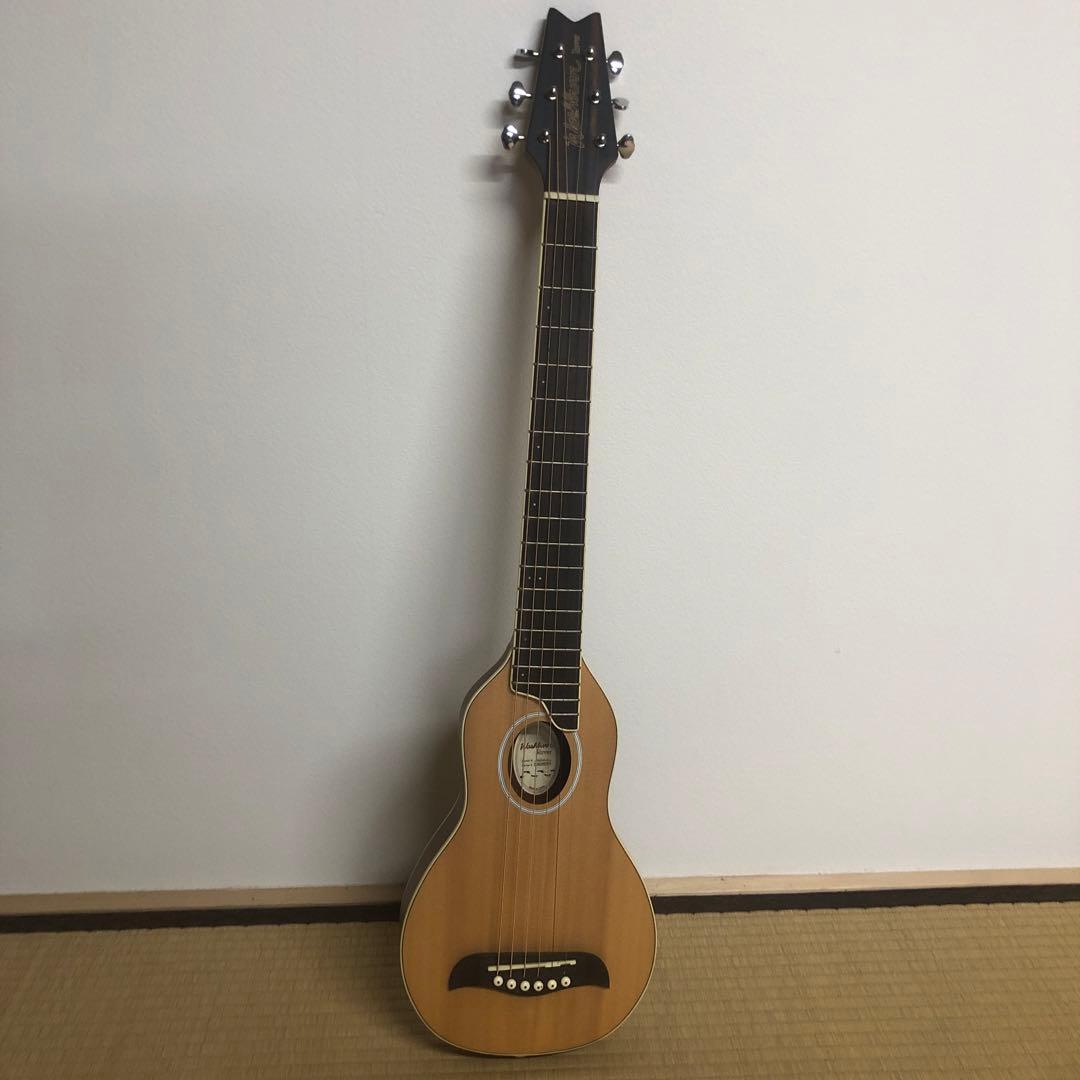 Washburn Travel Series Rover RO10トラベルギター